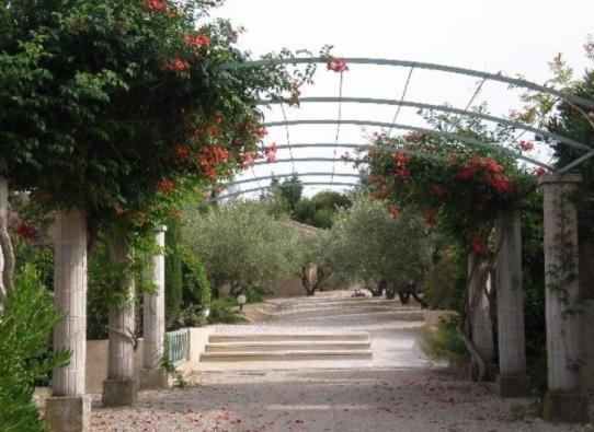 Un Gite En Provence - Les Jardins De Fontanille Saint-Rémy-de-Provence Eksteriør bilde