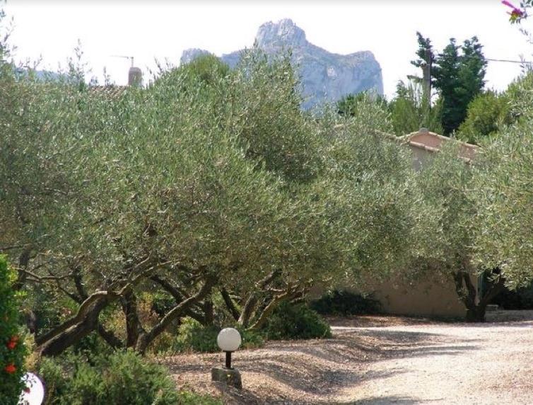 Un Gite En Provence - Les Jardins De Fontanille Saint-Rémy-de-Provence Eksteriør bilde