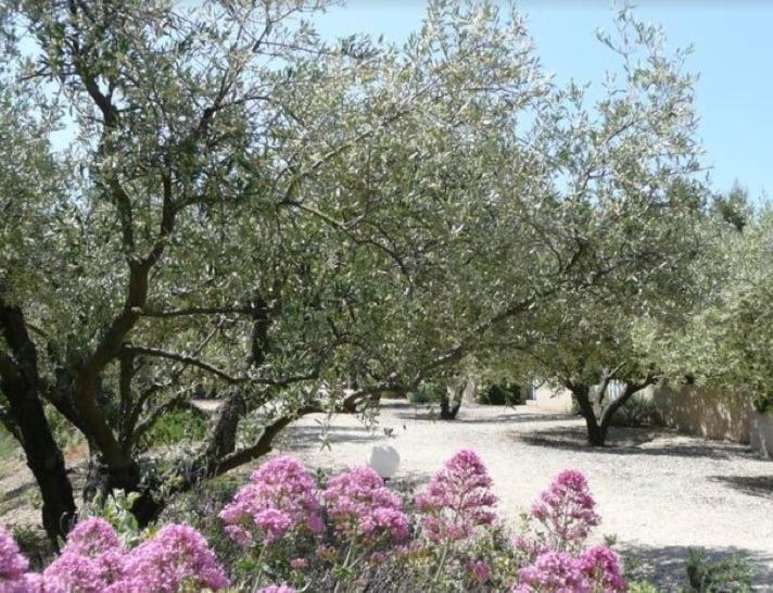 Un Gite En Provence - Les Jardins De Fontanille Saint-Rémy-de-Provence Eksteriør bilde